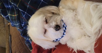 Kaybdoodles Top 100 Movies