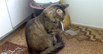 Nico&#39;s 100 Movies