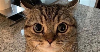 Every Book on Roswells Shelves That They&#39;ve Actually Read