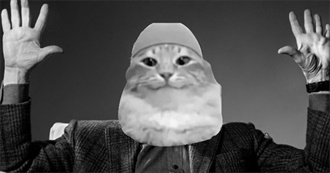 Fern Has Definitely Seen Movies