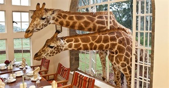 40 Not-So-Popular Destinations