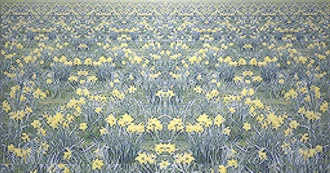 Rudy Holophotal&#39;s 100 Favorite Movies