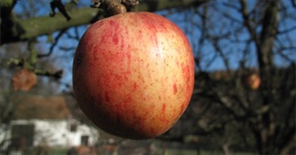 80 Random Movies: For James Van Der Beek (1977-2026)