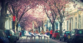 Danielle&#39;s Travels