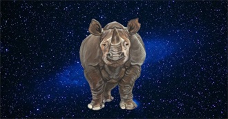 Cool Animal Alphabet Song