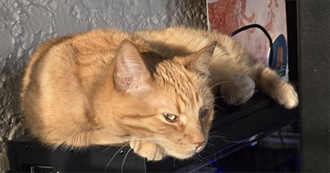 Charlie&#39;s Foolish Favs