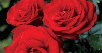 Courtney&#39;s Favorite Girl Names