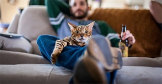 Stay at Home Cat Mom&#39;s Movies Watched Dec 2018