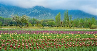 Movies This Film Student Watched in April 2021