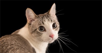 Nathan&#39;s Top 100 Movies