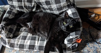 Britt&#39;s 100 Movies