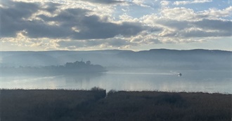 Everything Marina Read in 2023