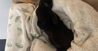 Cam&#39;s Top 100 Movies