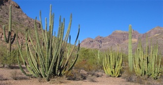 Important Bird Areas: Sonoran &amp; Mojave Deserts and Sierra Madre Occidental