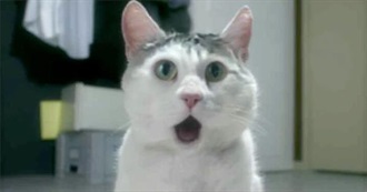 So Terrible It&#39;s Good