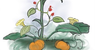 Indigenous Cuisine of the Americas