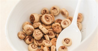 What a Sloth Ate - 10