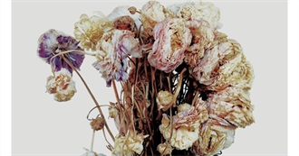 2025 Update: Albums From 2015 That Steve Has Listened To