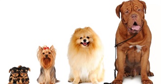 Favorite Movies to Rewatch