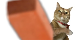 Fawkes&#39; Fav Films