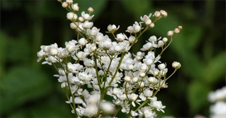 One Book by Each Author LB Has Read (Last Name C &amp; D)