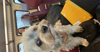 Meaghan&#39;s Favorite Movies