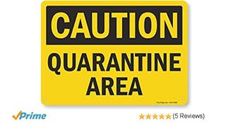 Things to Do During Quarantine