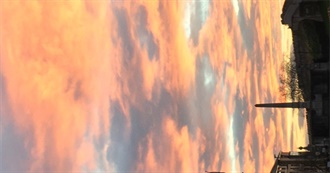 Various Life Experiences