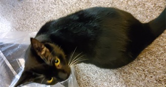 Mijakaiju&#39;s Lifetime Book List