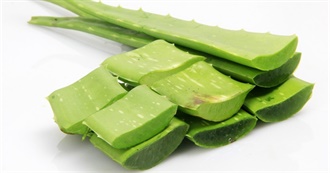 Foods With Aloe Vera