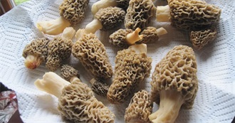 Wanna Try Foods Starting With M