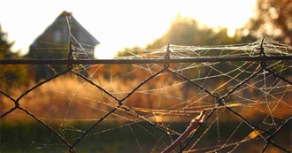 Sol&#39;s Top 90 Movies