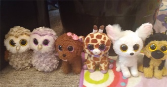 Beanie Boos Beanieboolover Owns