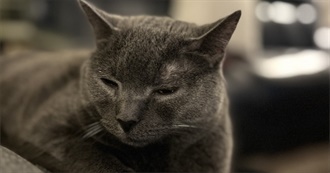 30 Movies From a VHS Childhood