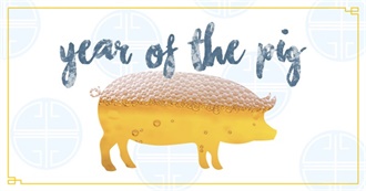 Best Movies in the Year of the Pig