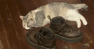 Zoph&#39;s Top 100 Albums!