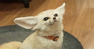 Merc&#39;s Top 65 Movies