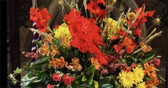 More Summer 25 Films