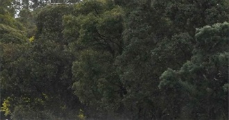 Megan&#39;s Top 20 Indie Albums