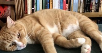 Library Book Sale Haul 2025