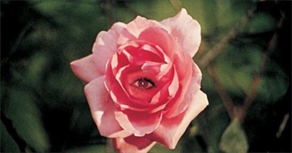 Night&#39;s Favorite Films