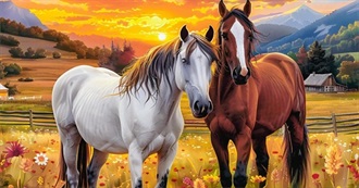 Horses on the Cover