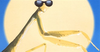 100 Movies From 1996