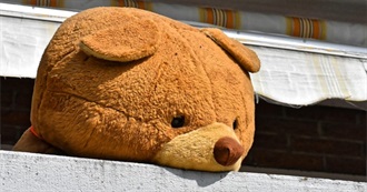 Toys Wished for but Never Received