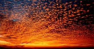 Every Album Listened to in November 2024