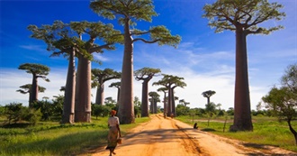 Lonely Planet&#39;s Top Experiences and Sights in Madagascar