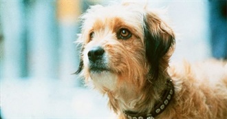 40 Movies About Dogs