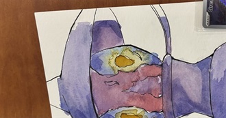 SQUID&#39;s Anime Watchlist 2025