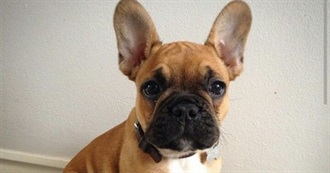 Destiny&#39;s Favorite Foods