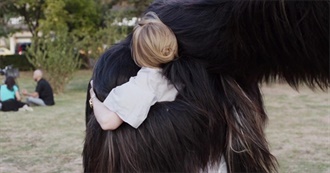 Cahiers Du Cin&#233;ma&#39;s Annual Top 10 Films of the 2016